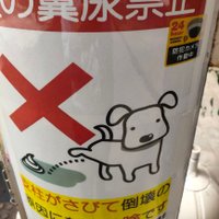 しろ (@jglppa5vrf4485) 's Twitter Profile