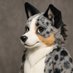 駄犬 (@new_daken) Twitter profile photo 駄犬 (@new_daken) Twitter profile photo