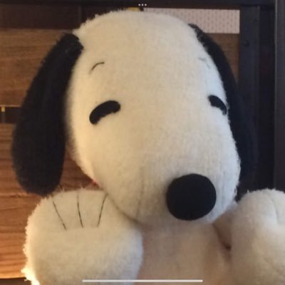 tomal3130's profile picture. 