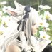 しゃけ🐟 (@pad_salmon) Twitter profile photo しゃけ🐟 (@pad_salmon) Twitter profile photo