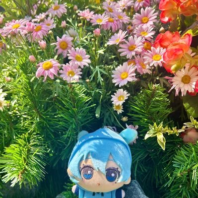 ひあのさんのプロフィール画像