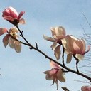 Liz Kemp - @liz_jk - Twitter