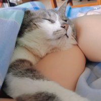 xxxl (@coloured_glaze_) 's Twitter Profile Photo xxxl (@coloured_glaze_) 's Twitter Profile Photo
