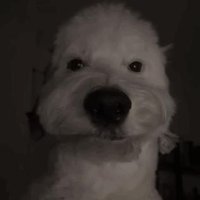 OG Sluggyboi (@sluggyboi_21) 's Twitter Profile Photo OG Sluggyboi (@sluggyboi_21) 's Twitter Profile Photo