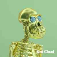 sesdcloucd's profile picture. 🇪🇺 marketing & community building | ambassadoradvisor | dm me for promo 📩| crypto & nft trader 👨‍ | web3 contents