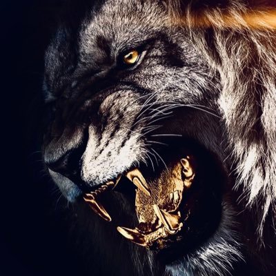 don_emeritus1's profile picture. 