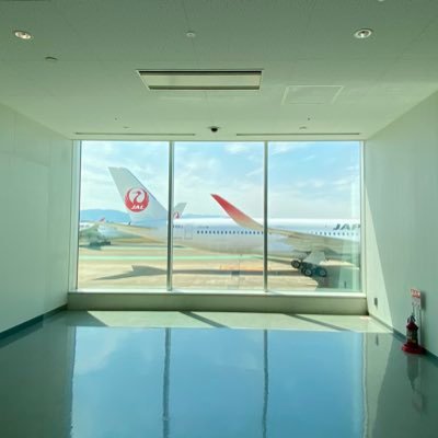yui ☕️✈︎さんのプロフィール画像