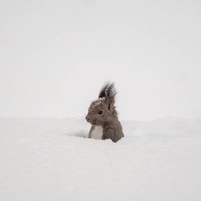 hSLo8hYdxN4003's profile picture. Housemate 허클˙ᵕ˙ෆ