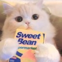 Tracey Henry - @TraceyHenr66118 - Twitter