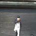 LilHezzy (@lilhatianhezzy) Twitter profile photo LilHezzy (@lilhatianhezzy) Twitter profile photo