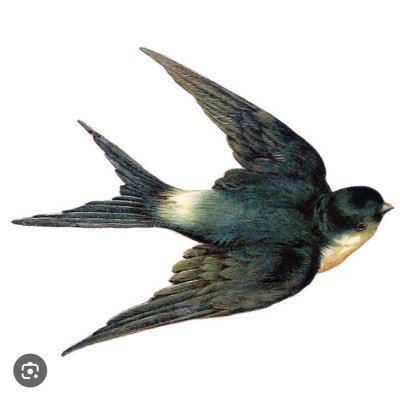 shorty132211's profile picture. 