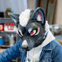 芳狼 (@tigerwolf606) 's Twitter Profile