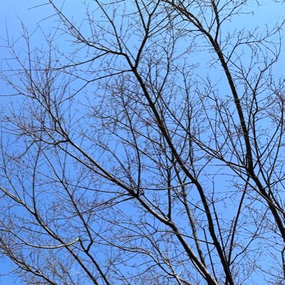 Studyfun2025's profile picture. 몸을 탐구하는 헬시플레저 기록