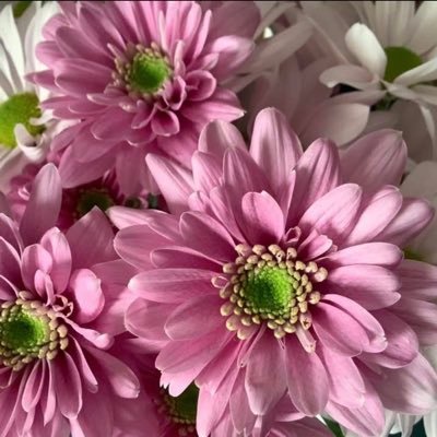 Jacquel29995143's profile picture. 
