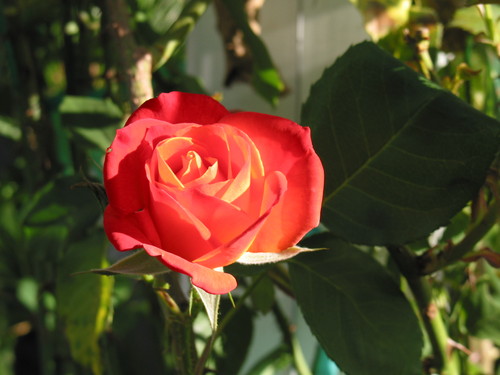 WestmoreStore's profile picture. 