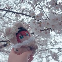 れん(交換垢)初回様ﾘﾄﾘﾝ必読 (@ren_trade_0518) 's Twitter Profile Photo