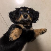 KAPPER (@kpduang) 's Twitter Profile