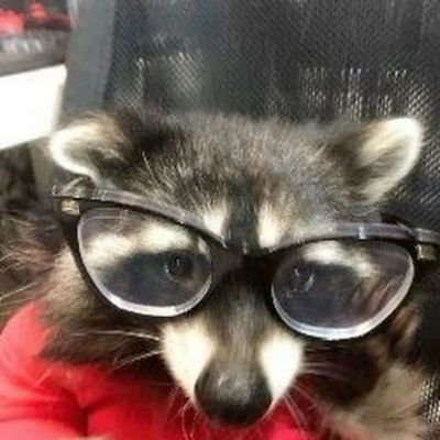 MUSHIIIさんのプロフィール画像