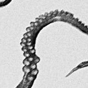 機山 (@oriyamao) 's Twitter Profile