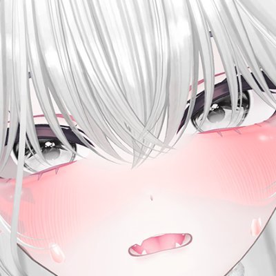 改変とVJ