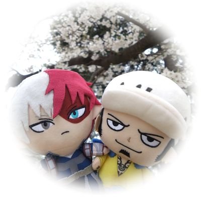主にONEPIECE関連&ヒロアカ関連の交換・譲渡用の取引垢です。稀にSTARTO ENTERTAINMENT(旧ジャニーズ)🎫関連の取引垢としても使用します。
ONEPIECE🏴☠️💛ロー🐯ヒロアカ🧊🔥轟焦凍くん🍰SixTONES💎髙地優吾🦔💛