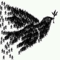 TA57 (@dthta57) 's Twitter Profile