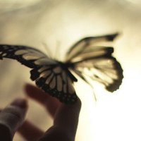 SweetCaliBoss (@sweetcali_boss) 's Twitter Profile Photo