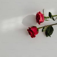 Mr Khan (@mrkhan883626) 's Twitter Profile