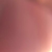 it's over with (@deebeelaidbacc) 's Twitter Profile