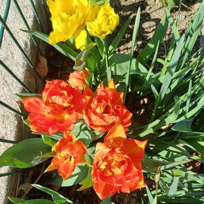 RolandCrimier's profile picture. Avec passion et fierté Maire de Saint-Genis Laval de 2001 à 2020, V-P Métropole de Lyon #Énergie au dernier mandat. 
Centriste, européen et réformiste.