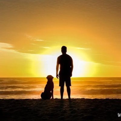 ShihabMutasim's profile picture. إنّ من الناس من يختارهم الله ؛ فيكونون قمح هذه الإنسانيّة : ينبتون ويحصدون ، يعجنون ويخبزون ، ليكونوا غذاء الإنسانيّة في بعض فضائلها .