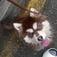 wanyi (@wanyi2778) 's Twitter Profile Photo