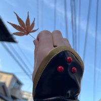 ほると (@horuto_cos) Twitter profile photo