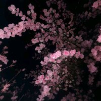 ◇♡Zomen♡◇ (@0_robotic_0) 's Twitter Profile