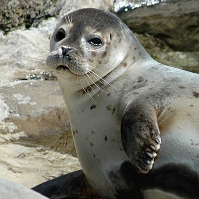 ciasteeek's profile picture. my DM’s are open. so… come on guys 😈