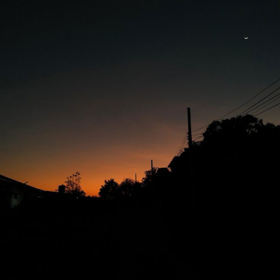 TadapB34719's profile picture. 