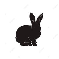 ᴍᴀᴍɪᴍᴀʏʏʏ ᙏ̤ (@kanokwa18678) 's Twitter Profile Photo ᴍᴀᴍɪᴍᴀʏʏʏ ᙏ̤ (@kanokwa18678) 's Twitter Profile Photo