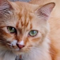 Wheeesttt 99 (@wheeesttt9746) 's Twitter Profile