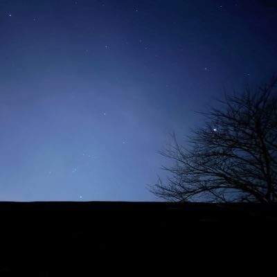 ry_univ's profile picture. 06 tu 経済 entp