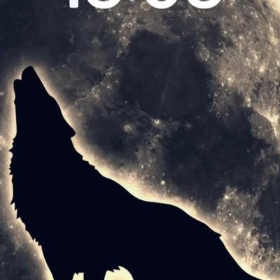 M4NXGElyWg55595's profile picture. 