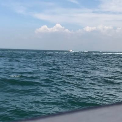 sengio62179's profile picture. 