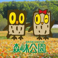 国営武蔵丘陵森林公園 (@musashi_shinrin) 's Twitter Profile Photo 国営武蔵丘陵森林公園 (@musashi_shinrin) 's Twitter Profile Photo