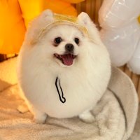 Pang_88 (@jira_888) 's Twitter Profile