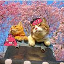 Sachiko West🔴💊 - @SachikoW99787 - Twitter