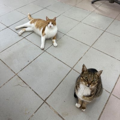 Coni35147628's profile picture. 