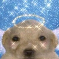 떠링 (@butttering_) 's Twitter Profile