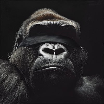 OG investisseur crypto depuis 2014. Analyse technique, trading et stratégies pour maximiser les gains.