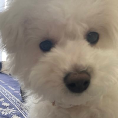 mogu778943's profile picture. 06HU小学校