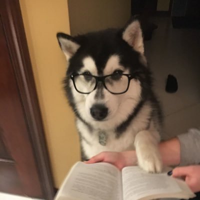 momo_o427's profile picture. 08(07) 関東 🚺 MOMOKA 繋がったらDM来てくれると嬉しいです💞