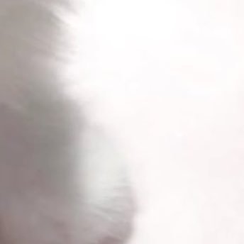 15歳 音madとか作ってます　https://t.co/0GBVTFb6KV